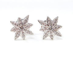 Etoiles Pave Studs