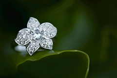 Silver White Sapphire & Topaz Hanabira Ring